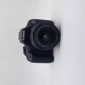 stock