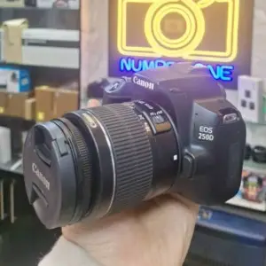 stock