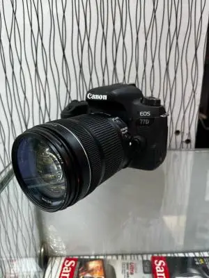 stock
