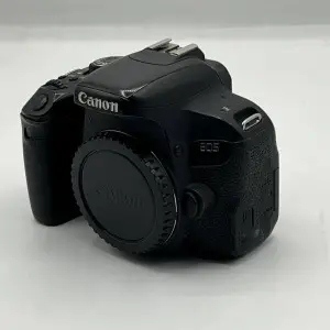 stock