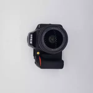stock