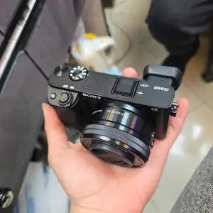 stock