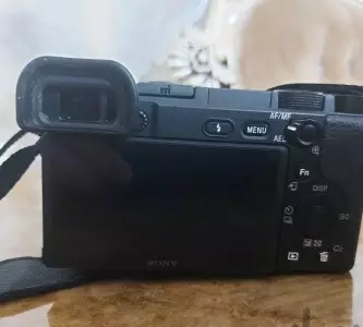 stock