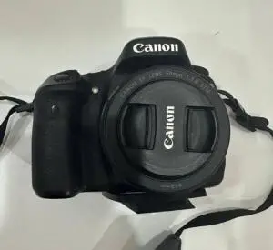 stock