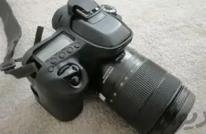 stock