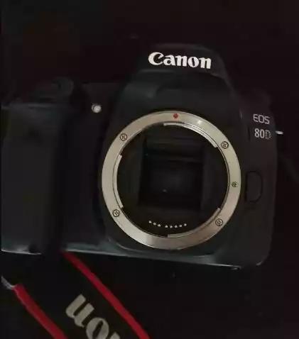 دوربین کنون۸۰d دست دو