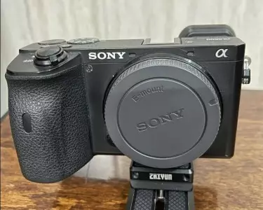 stock