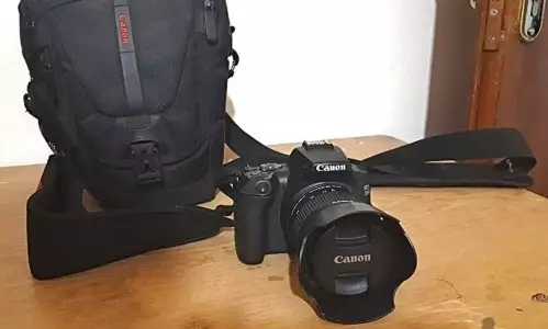 stock