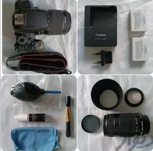 stock