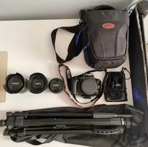 stock
