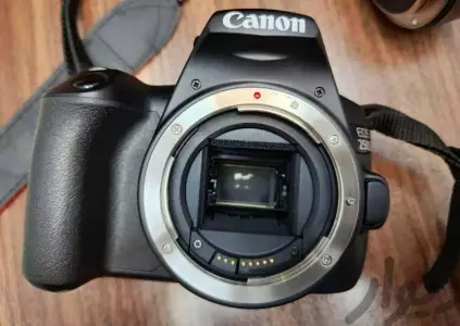 stock