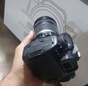 stock