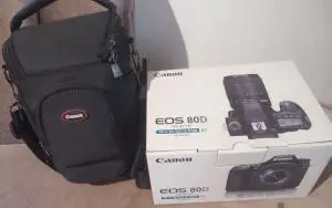 stock