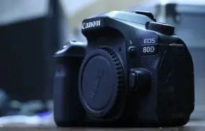 stock