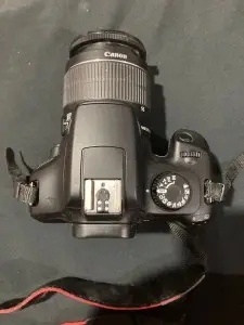 stock