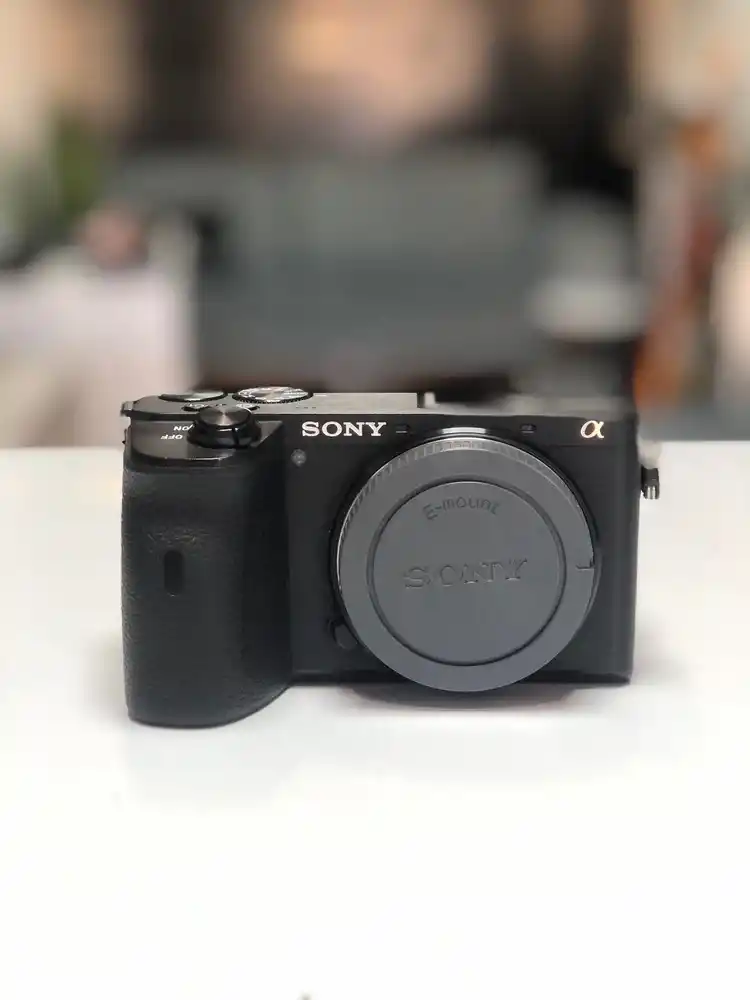 Sony A6600 body دست دو