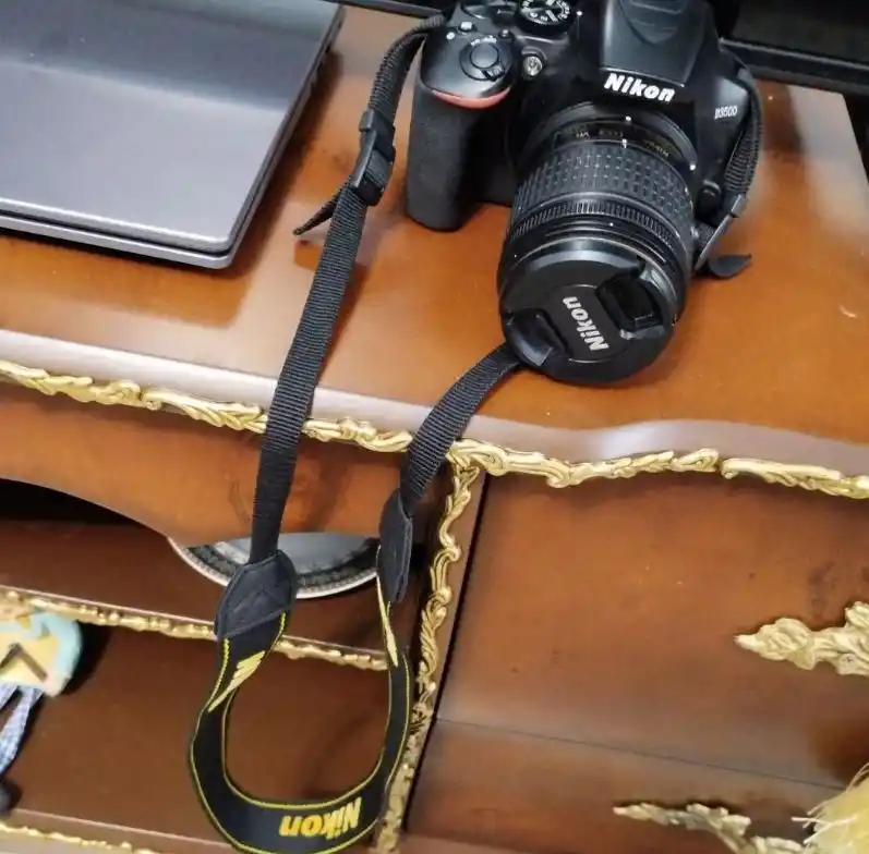 نیکون d3500 دست دو