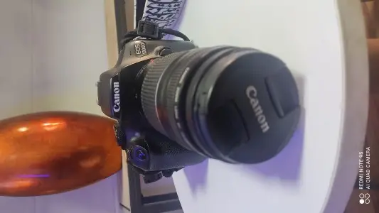 stock