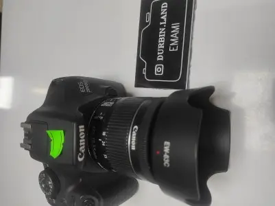 stock