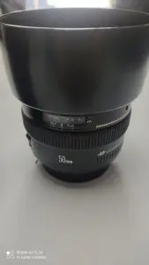 stock