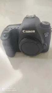 stock