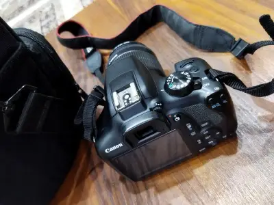 stock