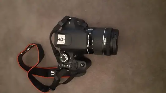 stock