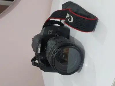 stock