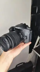 stock