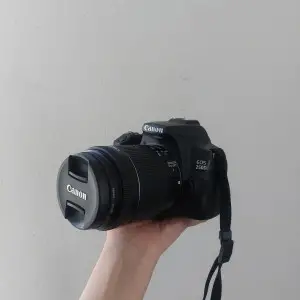 stock