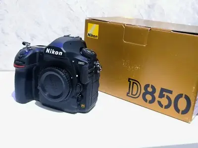 stock