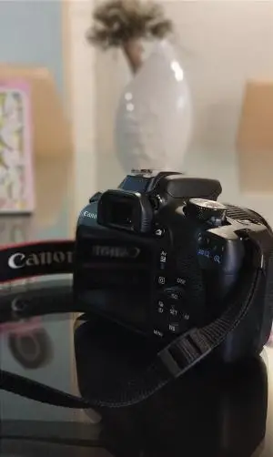 stock