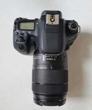 stock