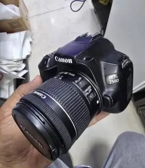 stock