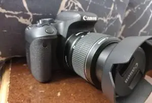 stock