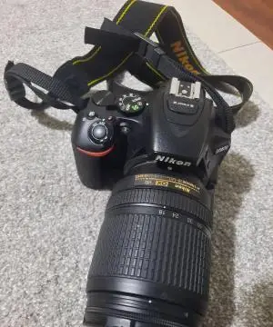 stock