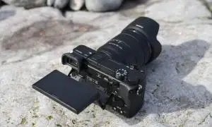 stock