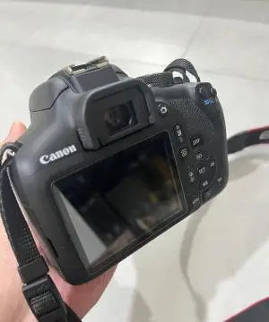 stock