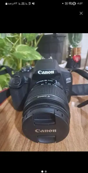 stock
