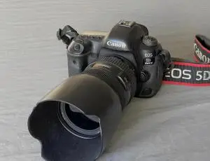 stock