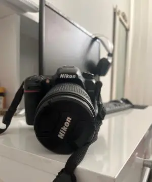 stock
