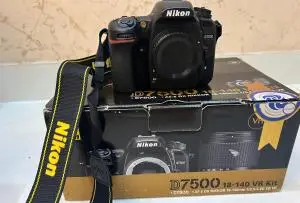 stock