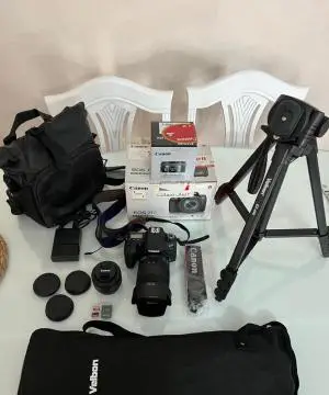 stock