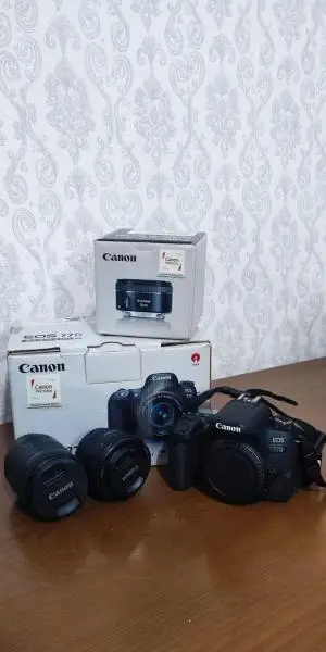stock