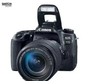 stock