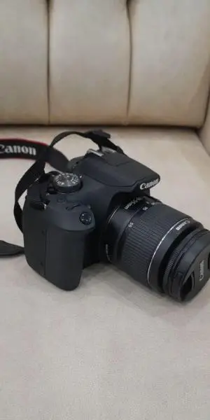 stock