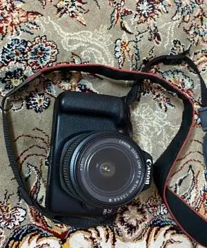 stock