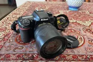 stock