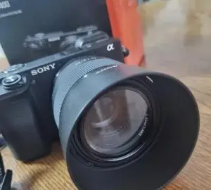 stock