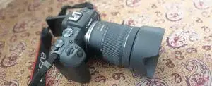 stock